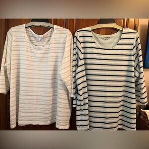 Bundle of Two (2) Croft & Barrow Striped Plus Size Tops, 2X